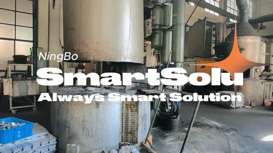 Vacuum Package Machine Brass Solenoid Valve for 12V 24V 220V