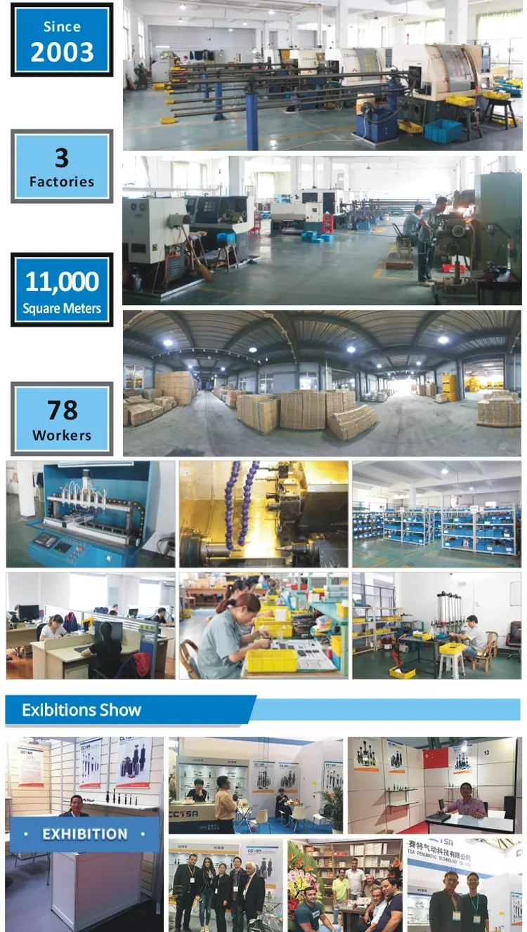 All Types Exproof Solenoid Coil for Auto Valves and Solenoid Valve Pulse Valve