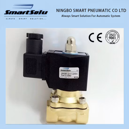 Válvula solenóide de latão para máquina de embalagem a vácuo para 12 V 24 V 220 V